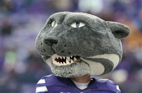 The Power of Mascots: How Willie the Wildcat Inspires K-State Fans